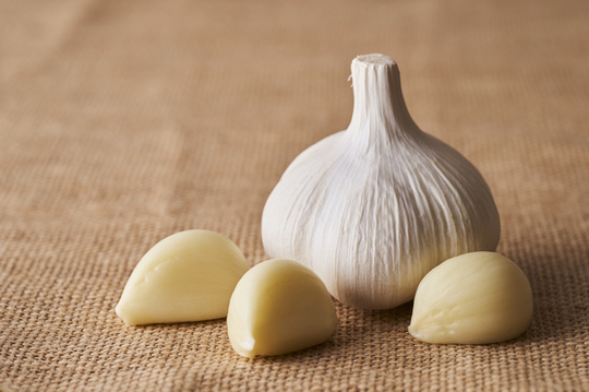 浜松市中央区・自動車学校前駅の口臭について